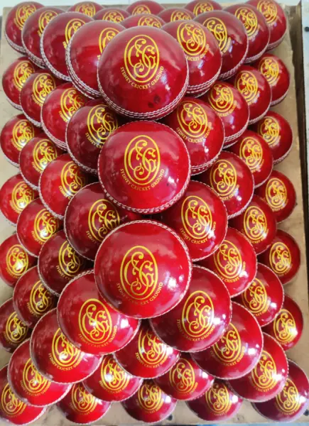 Promotional Cricket Leather Balls