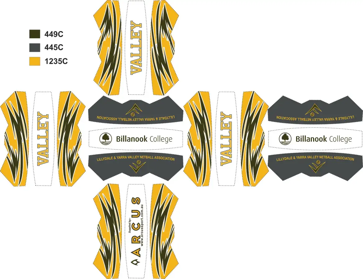 Valley Netball Size 5 Arcus